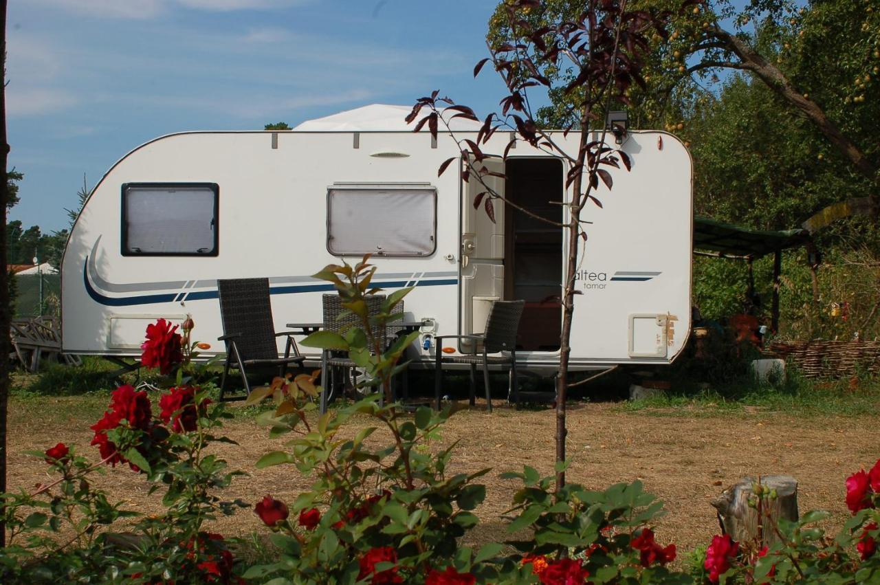 Camping Rogowo Mrzezyno Exterior photo