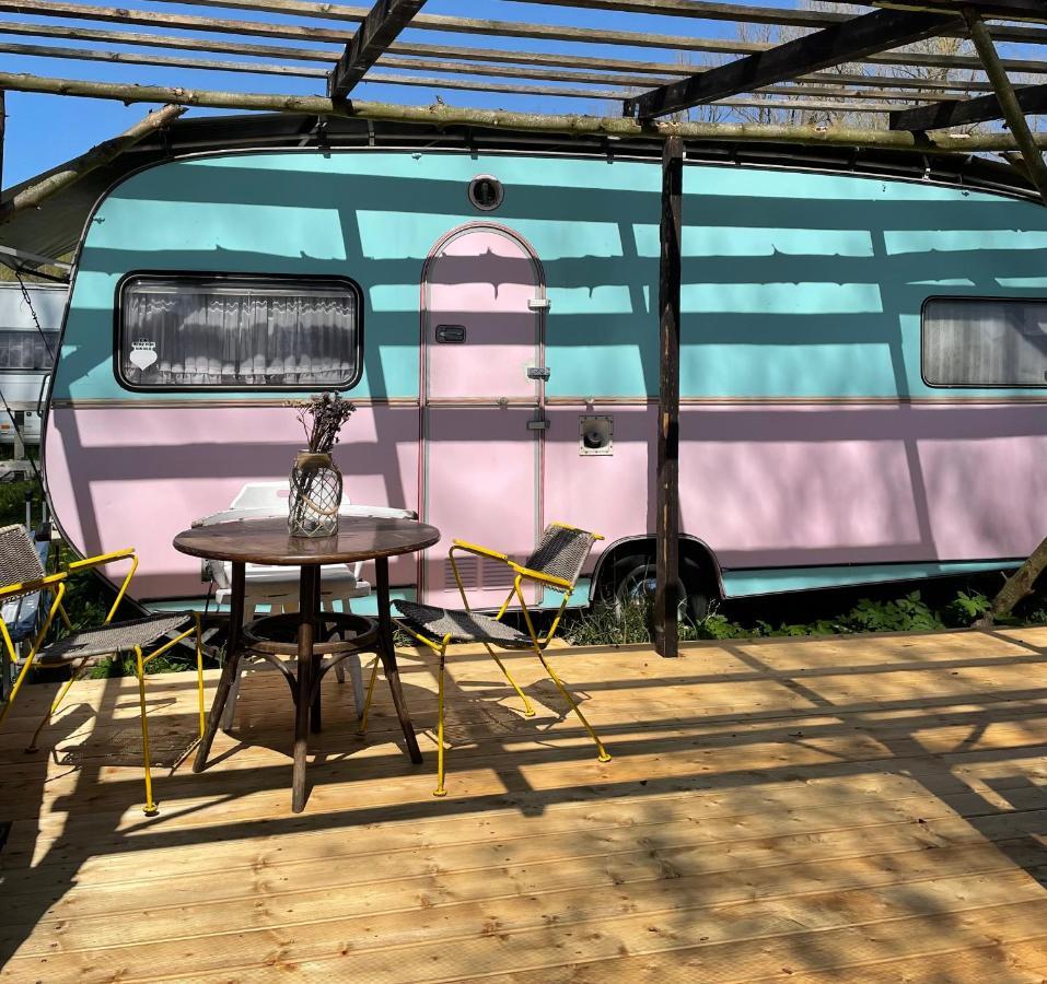 Camping Rogowo Mrzezyno Exterior photo